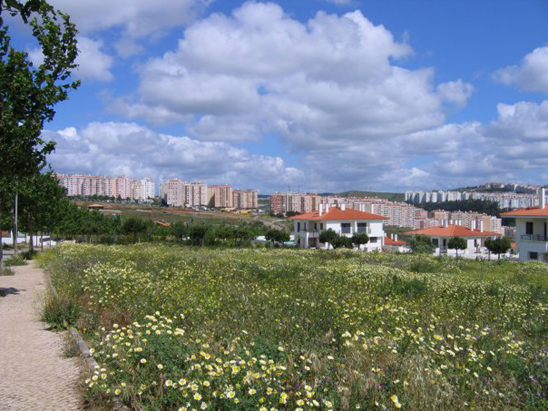 Políticas de habitação  E seus efeitos em Portugal